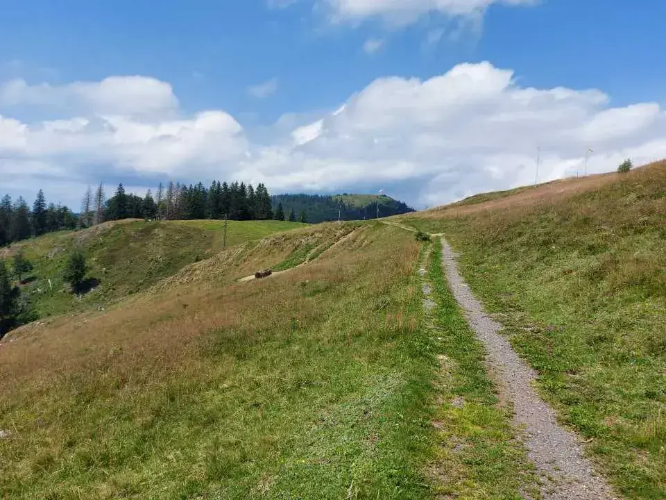 Wandern entlang des Ibacher Panoramaweg, einem der  Premiumwanderwege im Schwarzwald