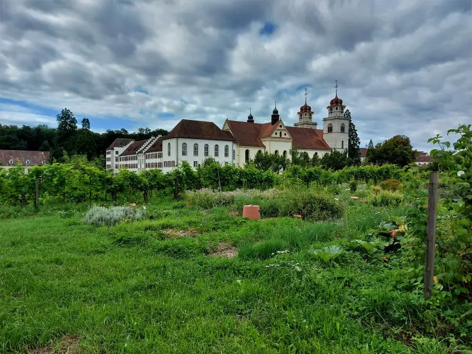 Blick auf die Klosterinsel Rheingau vom Benediktinerkloster auf der Wanderung Rheinau Rheinfall