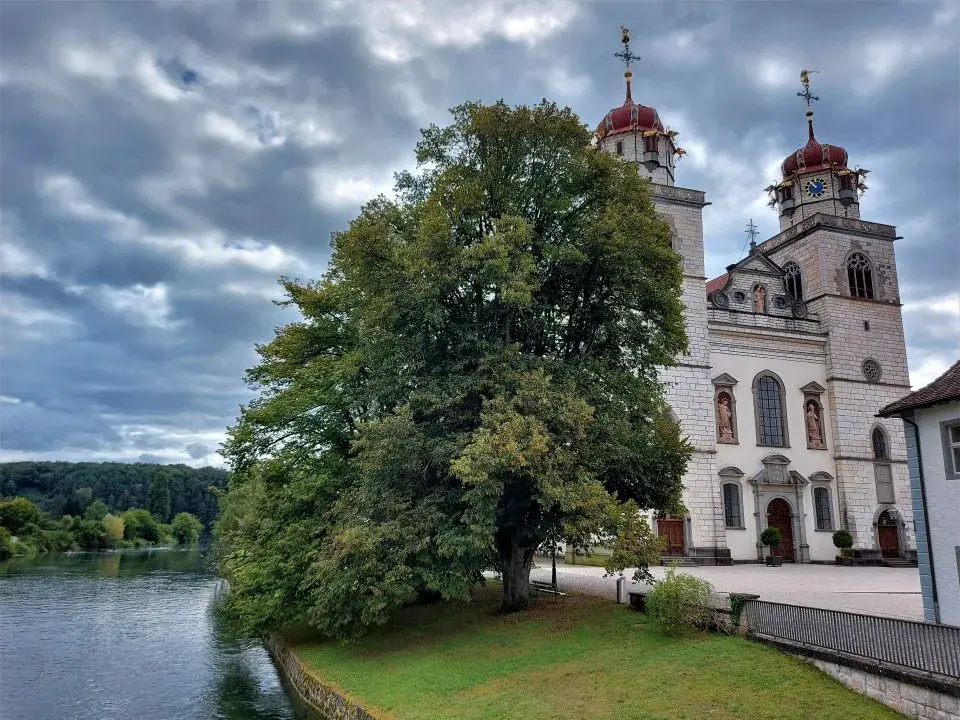 Blick auf die Klosterkirche Rheinau am Wanderweg entlang der Rheinschleife auf unserer Wanderung Rheinau Rheinfall