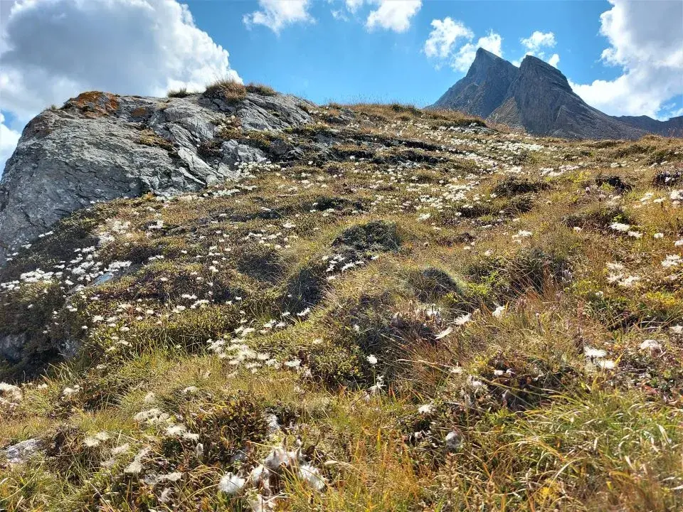 Blick auf die Samnauner Bergwelt vom Wanderweg Schmugglertour Samnaun vom Zeblasjoch über Salaaser Sattel, Viderjoch und Greitspitz