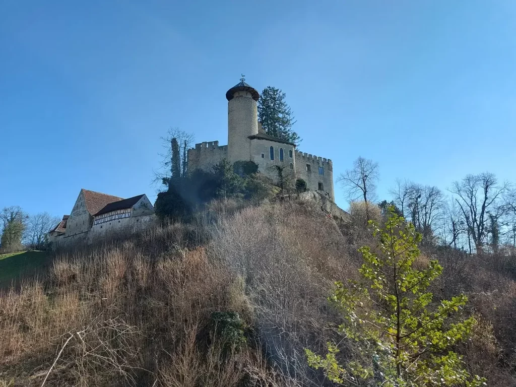 Blick auf die Burgruine Schloss Birseck, oberhalb der Ermitage in Arlesheim beim Wandern in der Nordwestschweiz