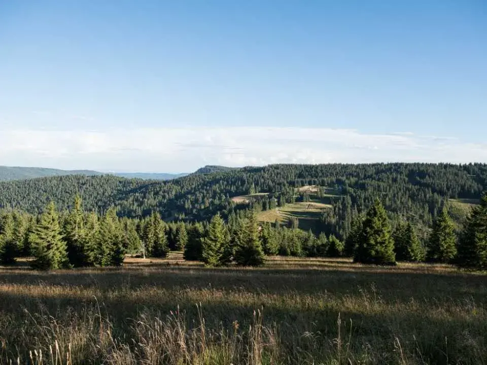 Wandern auf dem Heilklima-Steig bei Schönwald im Schwarzwald