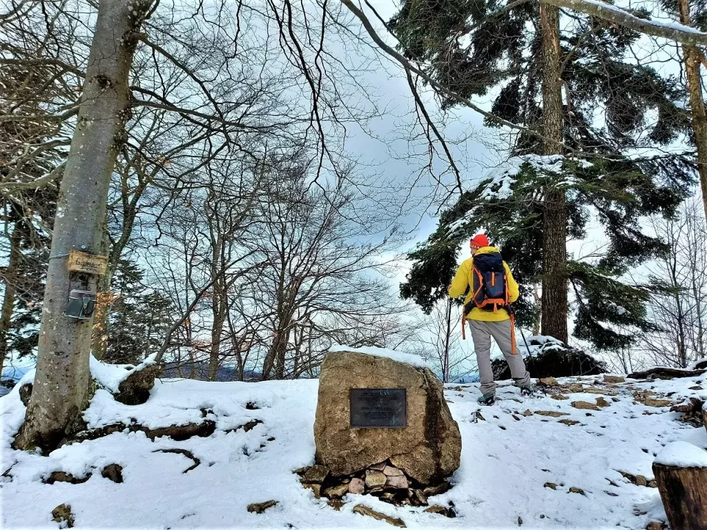Höchster Punkt im Aargau, den man nur beim Wandern in der Nordwestschweiz erreicht