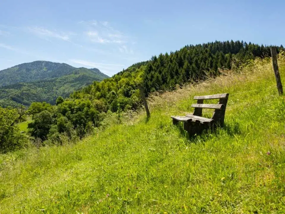 Auf dem Hotzenpfad, ein Premiumwanderweg und Genießerpfad im Schwarzwald