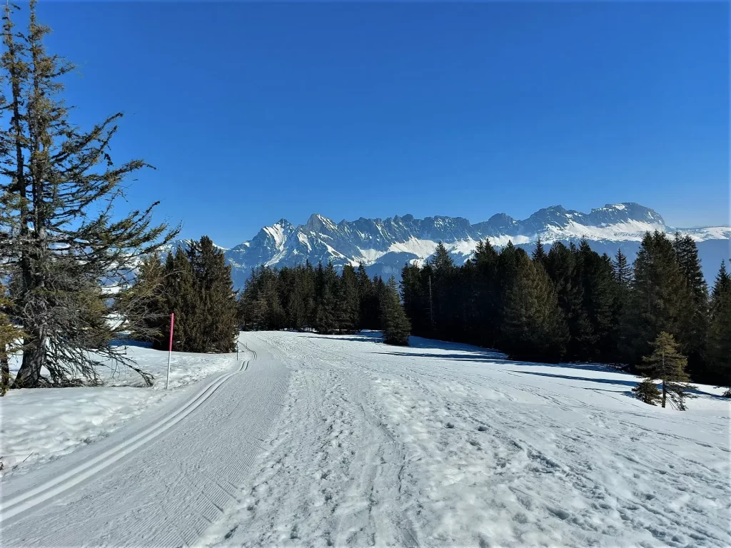 Präparierte Piste auf unserer Schneeschuhwanderung Flumserberg von Tannenheim zur Prodalp