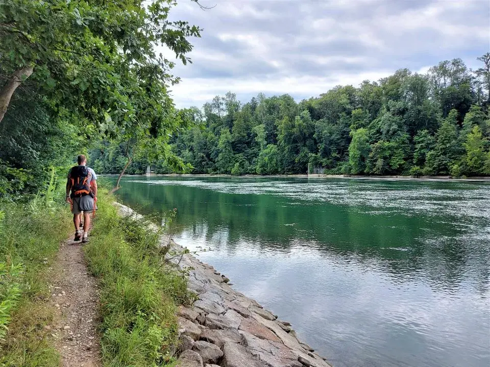 Uferwanderweg entlang der Rheinschleife von der Klosterinsel Rheinau zum Rheinfall