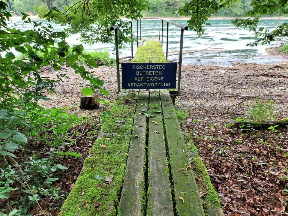 Uferwanderwegs entlang der Rheinschleife von der Klosterinsel Rheinau zum Rheinfall