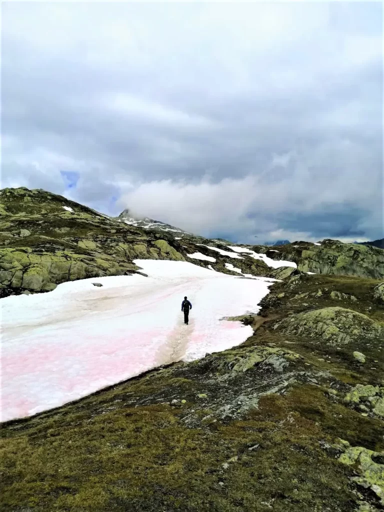 Wanderweg über ein Eisfeld auf der 5 Seen Wanderung am Gotthardpass