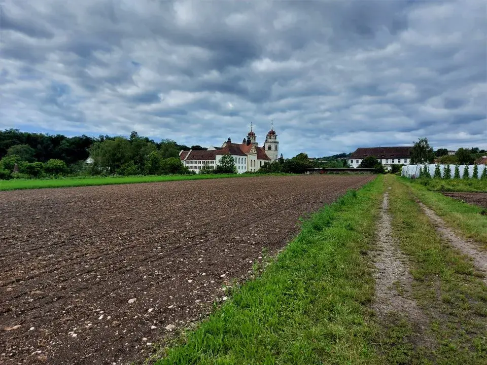 Wanderweg auf unserer Wanderung Rheinau Rheinfall, entlang des Rheins mit Blick auf die Klosterinsel Rheinau