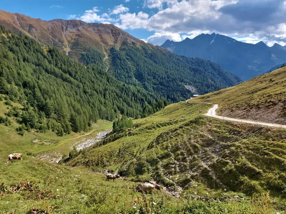 Wanderweg im Zanderstal oberhalb von Samnaun Compatsch, kommend vom Alptrider Sattel und der Alp Bella