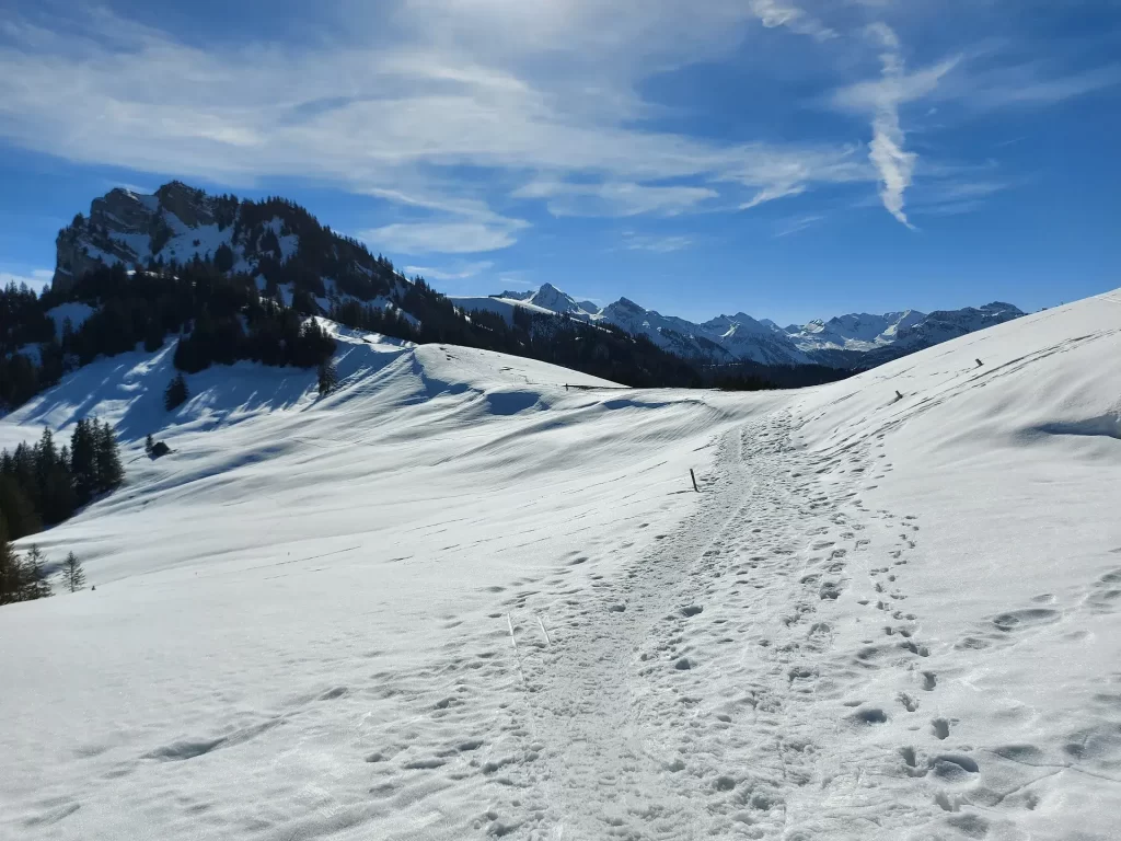 Wanderweg kurz unterhalb von Egg, unserer Schneeschuhwanderung ab Sattelegg Richtung Chli Aubrig