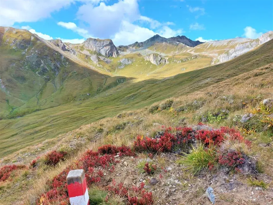 Wanderweg mit wunderschönen, alpinen Blumen im Malfragtal auf der Wanderung vom Alptrider Sattel und Alp Bella nach Samnaun Compatsch