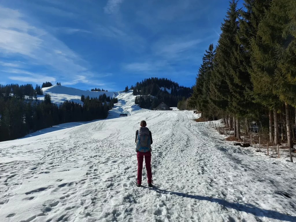 Wanderweg unserer Schneeschuhwanderung ab Sattelegg Richtung Chli Aubrig