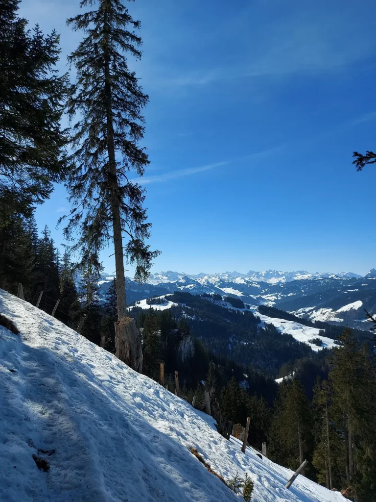 Wanderweg unterhalb Chli Aubrig von Sattelegg kommend