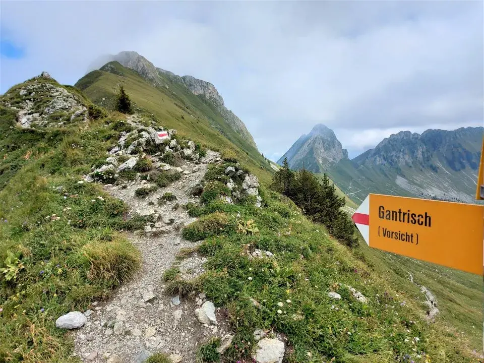 Wanderweg zum Gantrisch Gipfel oberhalb des Gantrischseeli