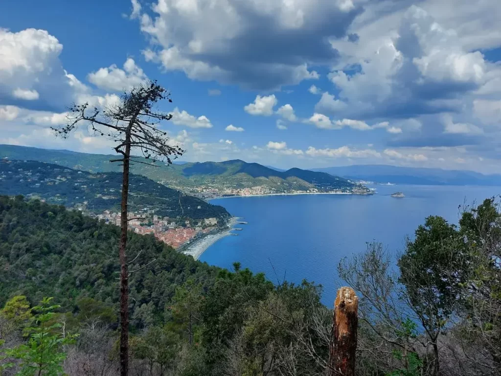 Ausblick vom Wanderweg Sentiero del Pellegrino am Capo Noli auf die Palmenriviera