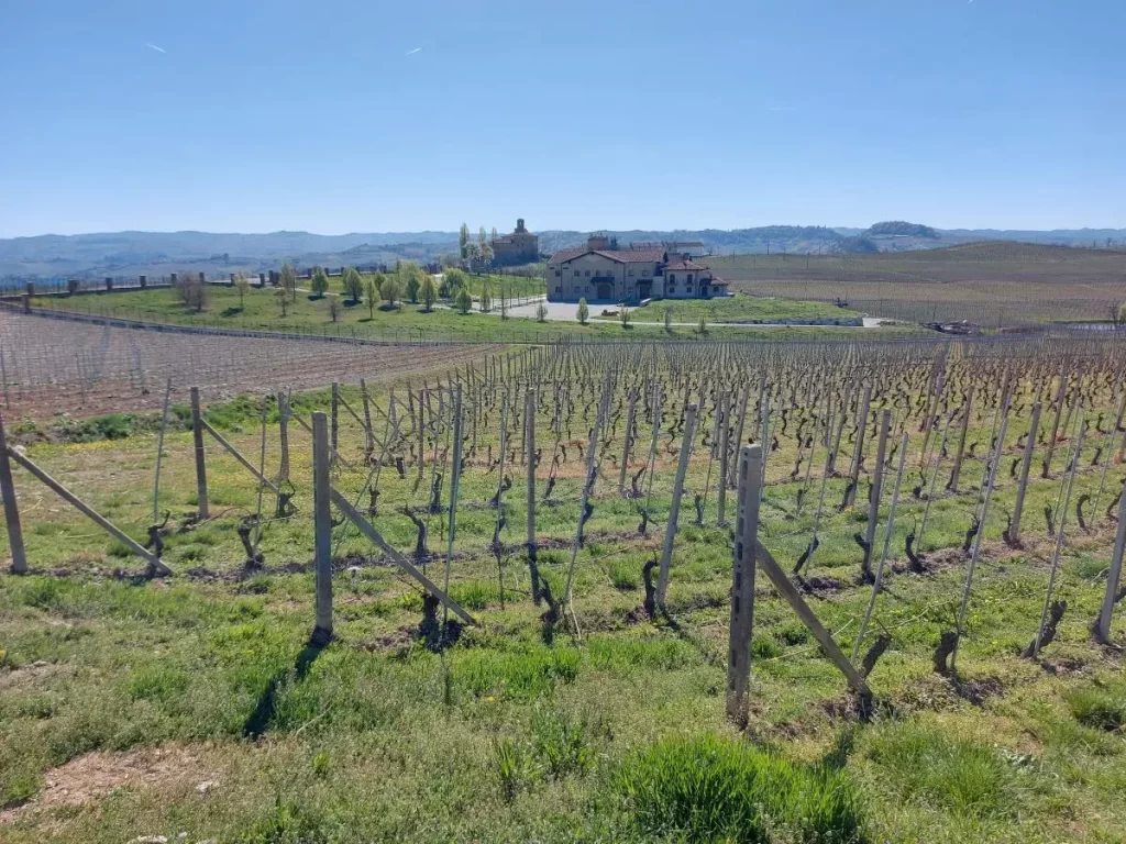 Aussicht auf die Barolo Weingüter der Famiglia Anselma und Cabutto - Tenuta La Volta