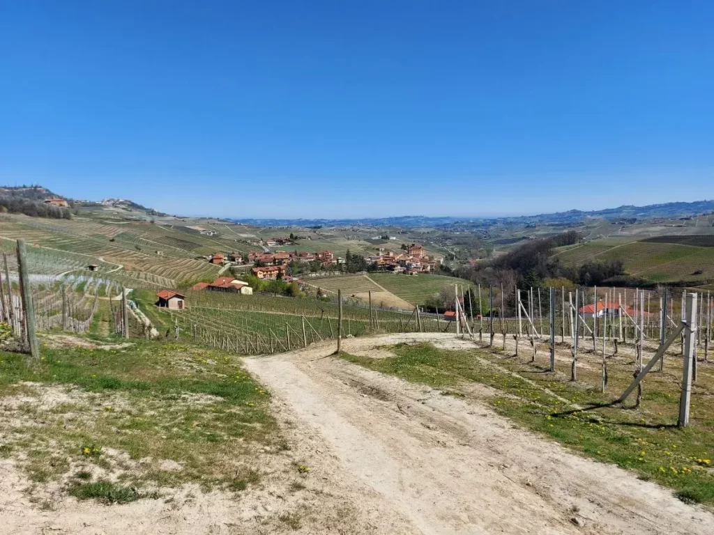Blick auf Barolo, gleich nach dem Start unserer Barolo Weinwanderung nach Novello