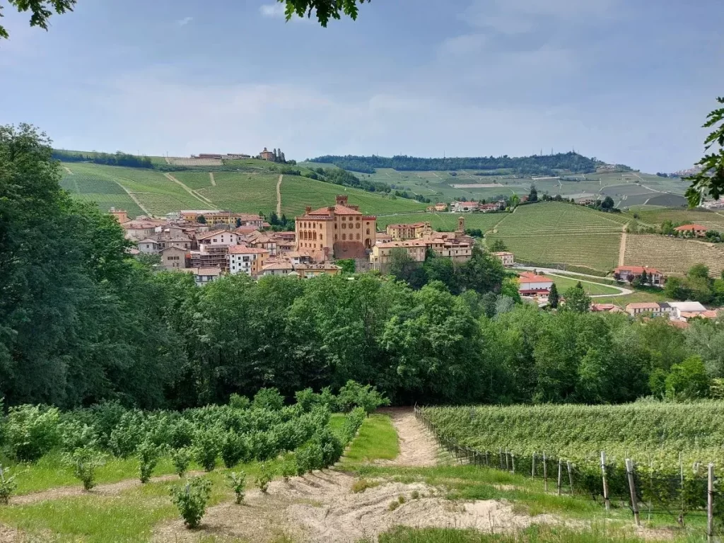 Letzter Blick auf Barolo bevor wir unsere Barolo Weinwanderung beenden