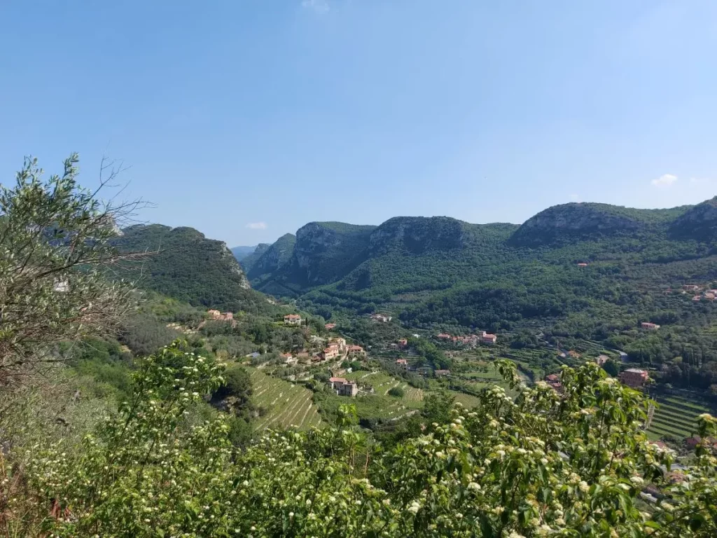 Ein Panoramablick auf das Tal bei Finalborgo, umgeben von grünen Hügeln und kleinen Dörfern. Die Terrassenlandschaft ist von Olivenhainen und Weinfeldern geprägt, die sich über die Hänge ziehen. Ein friedlicher Anblick, der die mediterrane Vegetation und die ruhige Landschaft dieser Region widerspiegelt.