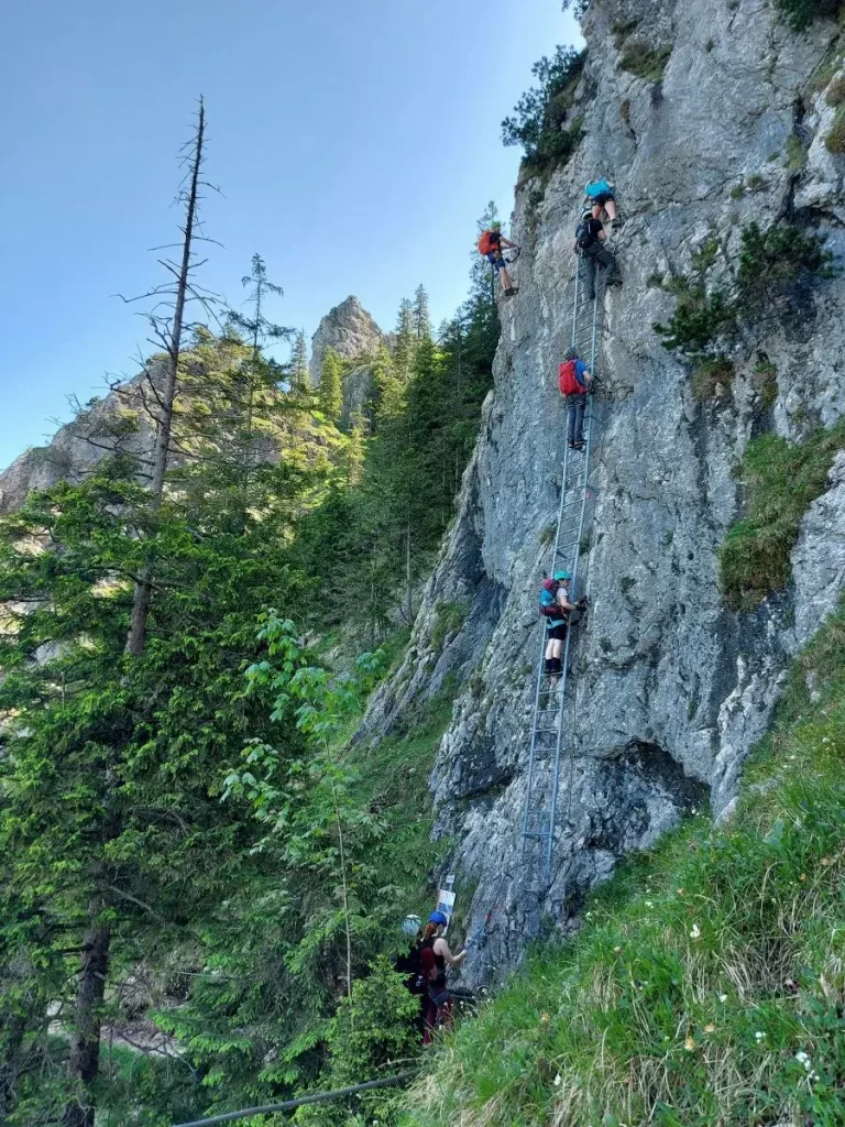 Mehrere Wanderer klettern über eine Metallleiter in eine steile Felswand hinein. Dieser Einstieg zeigt, wie sich der Gelbe Wand Steig in den längeren Tegelbergsteig integriert.