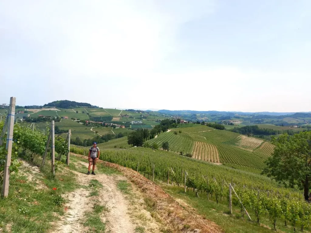 Jan zwischen den Weinreben auf unserer Barolo Weinwanderung