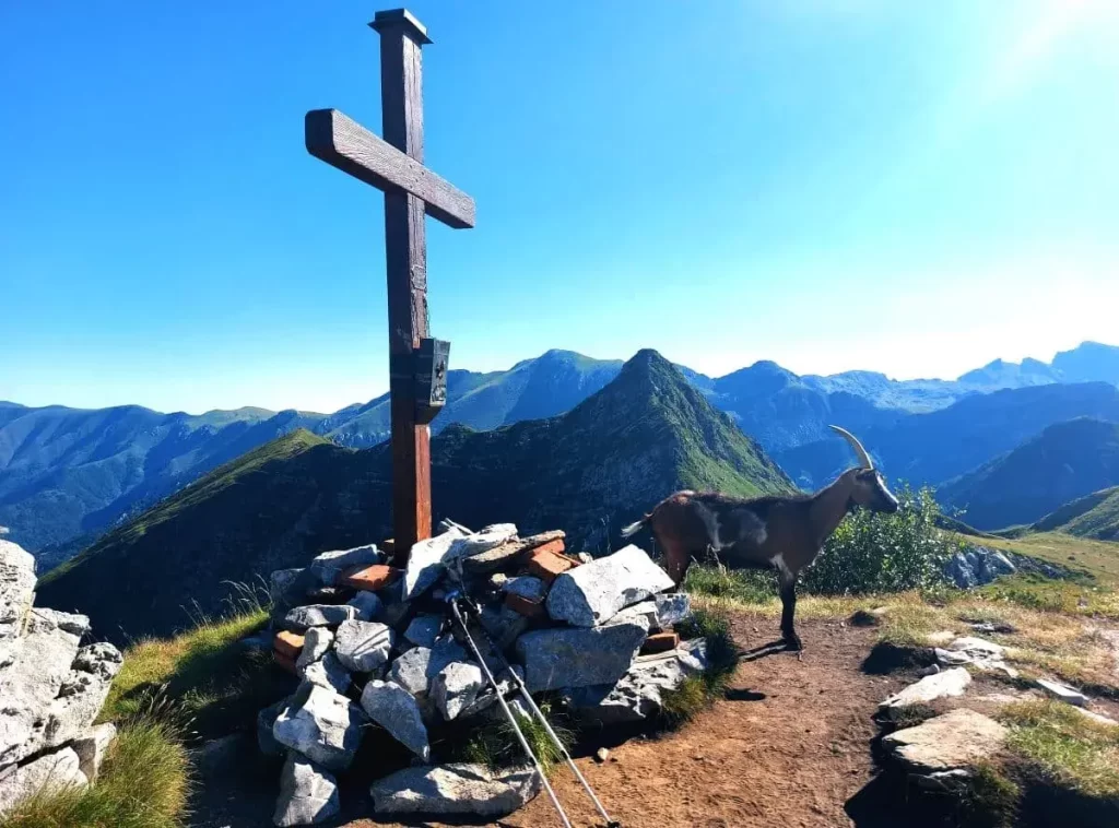 Ein hölzernes Gipfelkreuz steht majestätisch auf dem Cima del Becco Rosso, umgeben von einer weiten, alpinen Kulisse. Im Vordergrund sind felsige Steine und das weite Tal im Hintergrund sichtbar, was die Höhe und die Abgeschiedenheit des Gipfels betont. Das warme Licht der Sonne verleiht der Szene eine friedliche und erhabene Atmosphäre.