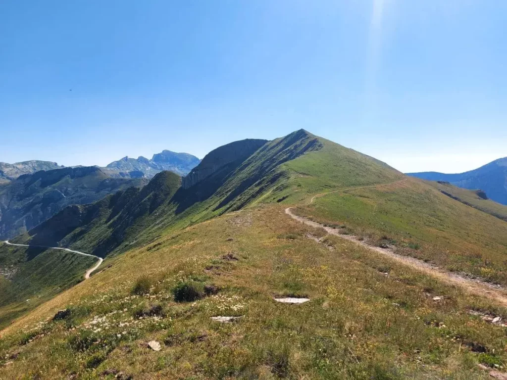 Ein schmaler Pfad zieht sich entlang eines grasbewachsenen Hangs, hoch über der Ligurischen Grenzkammstraße, mit weitem Blick auf die umliegenden Berge. Die Szenerie ist ruhig und abgelegen, ideal für Wanderer, die die Alpenlandschaft in vollen Zügen genießen möchten. Die Vegetation entlang des Weges und der klare Himmel betonen die natürliche Schönheit dieser Region.