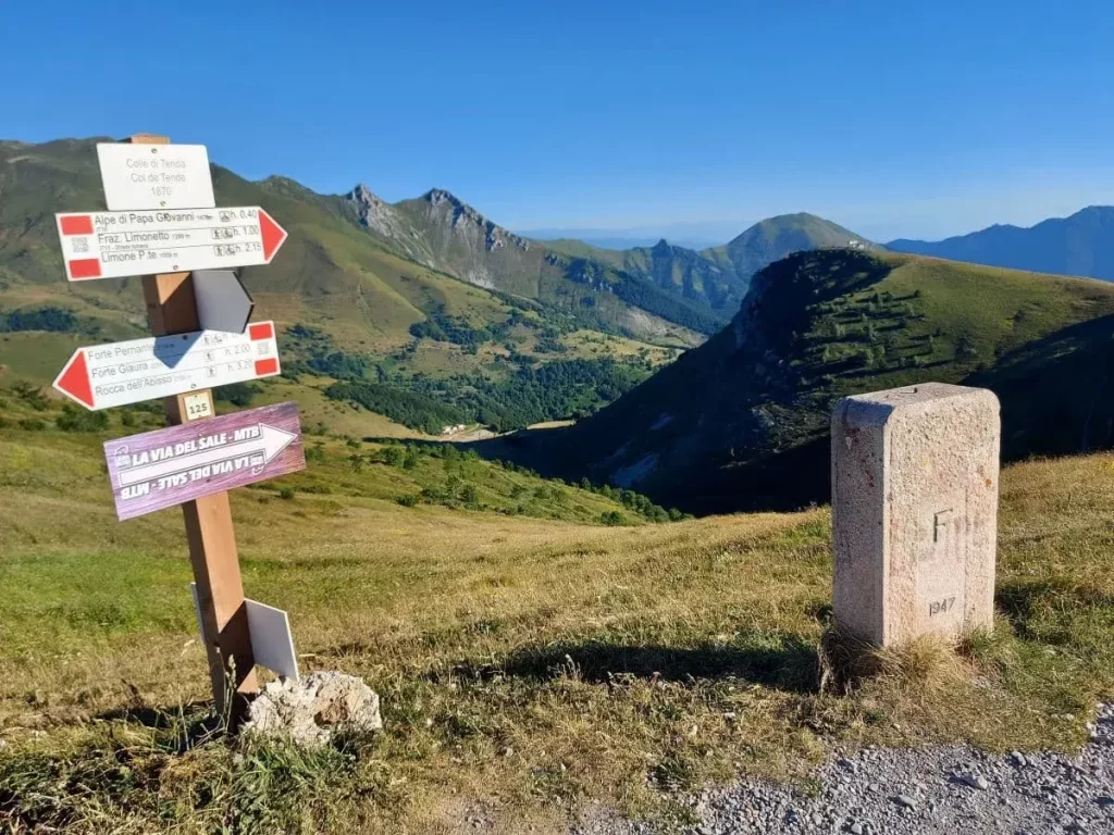 Ein hölzerner Wegweiser zeigt Richtungen zu verschiedenen Wanderzielen, eingerahmt von einer grünen Wiese und einer weiten Berglandschaft. Die roten und weißen Markierungen stechen kontrastreich gegen das satte Grün der Wiese hervor und führen den Blick entlang der Bergkette im Hintergrund. Ein alter Grenzstein neben dem Wegweiser erinnert an die historische Bedeutung dieses alpinen Knotenpunkts.