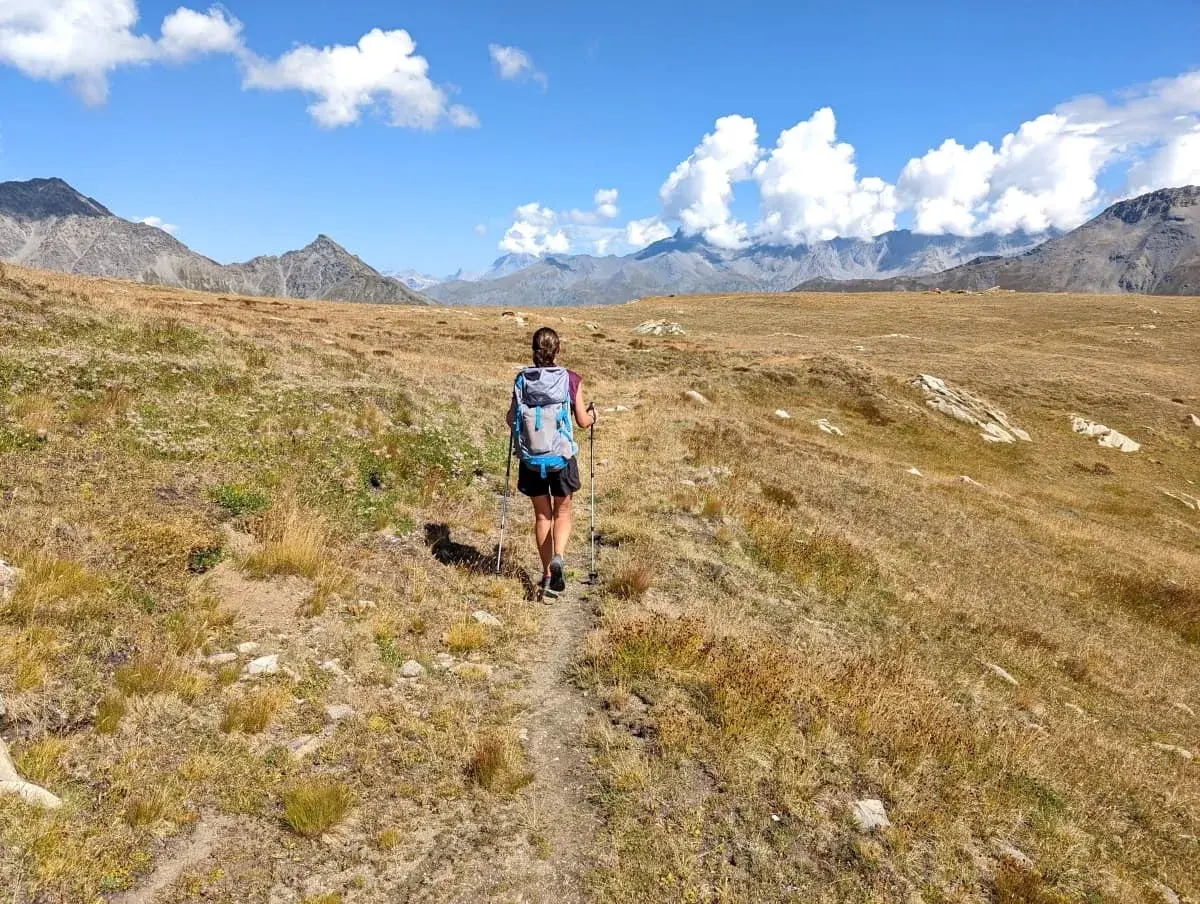 Linda wandert oberhalb des Col de Mont Cenis über eine Wiese mit vielen Edelweis Blumen