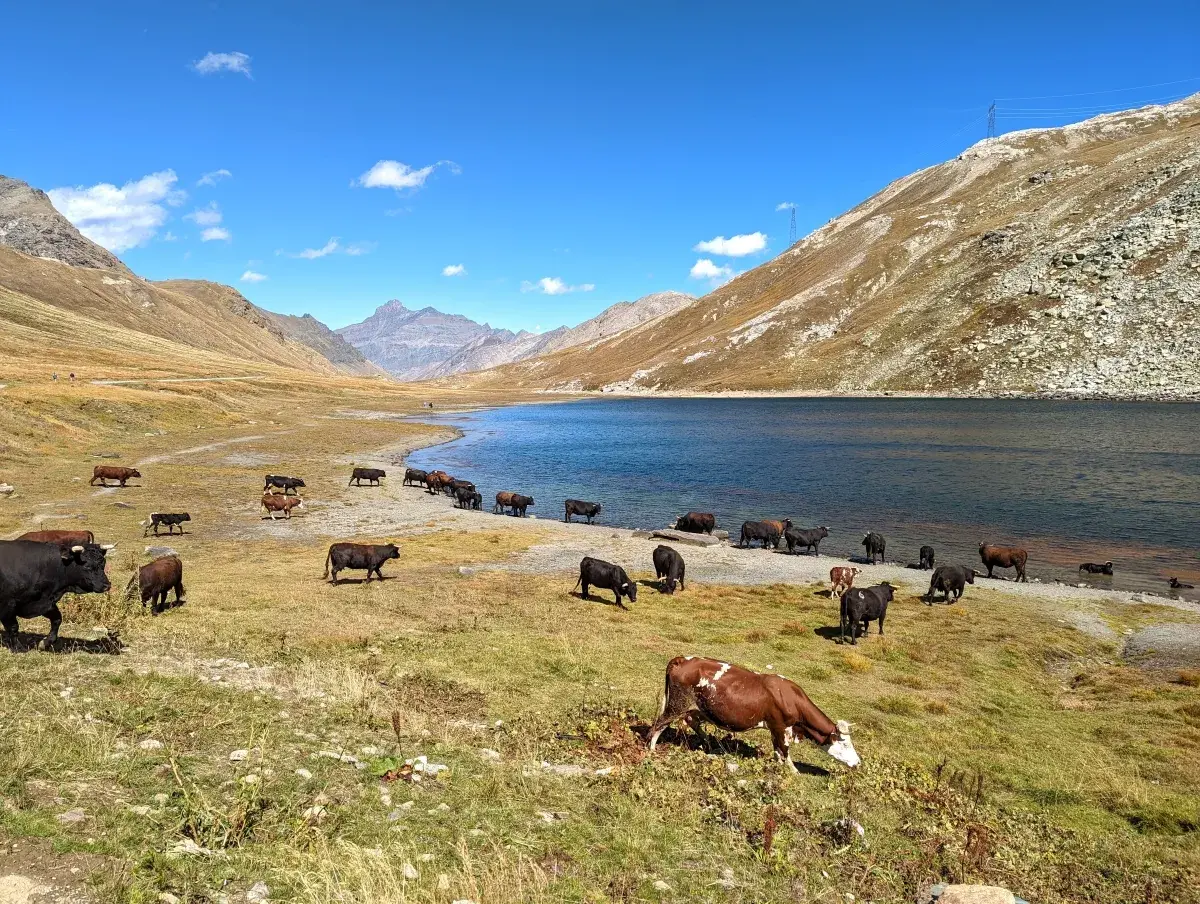 Laghi Nivolet auf der Nivolet Hochebene