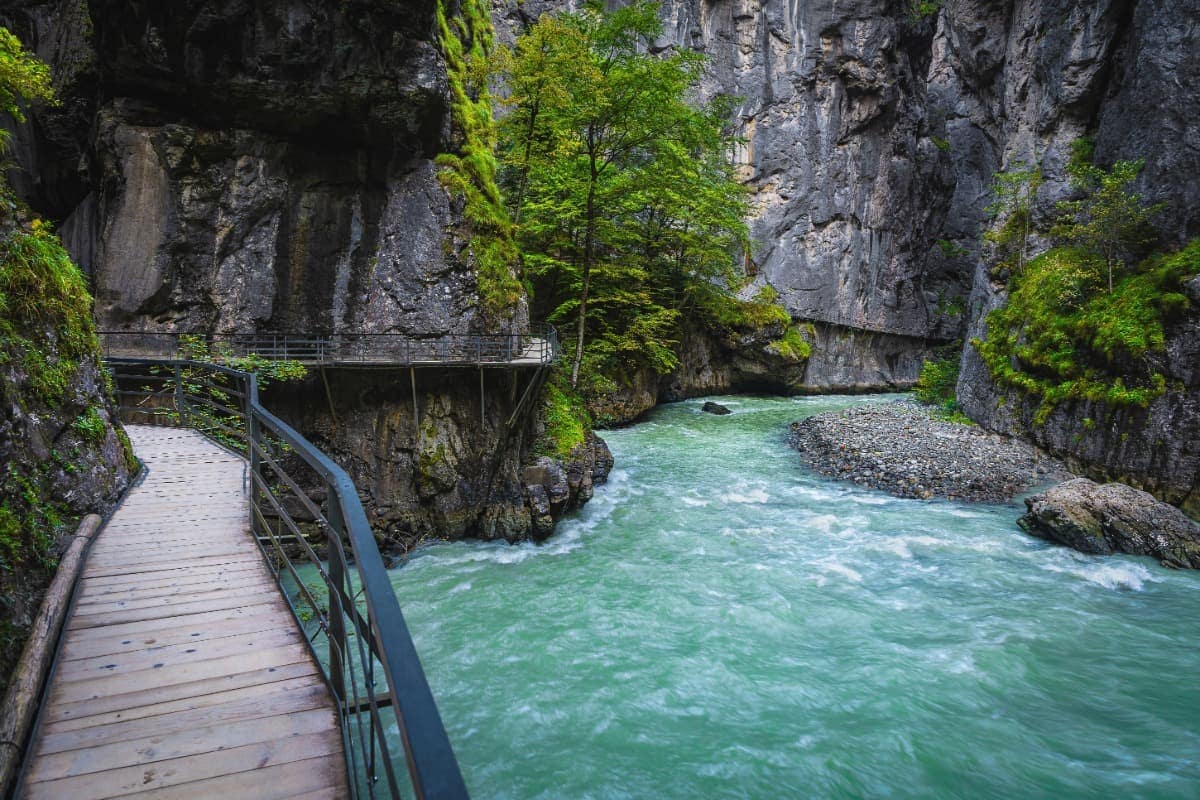 Schmaler Holzsteg mit Geländer führt durch die beeindruckende Aareschlucht mit türkisgrünem Fluss, steilen Felswänden und moosbedeckten Hängen. Eine spektakuläre Wanderroute inmitten wilder Natur und eindrucksvoller Schluchtenlandschaft.