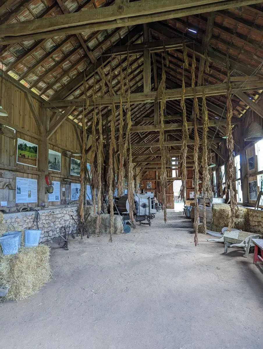 Ausstellung zur Tabakkultur auf der Farm von La Madeleine