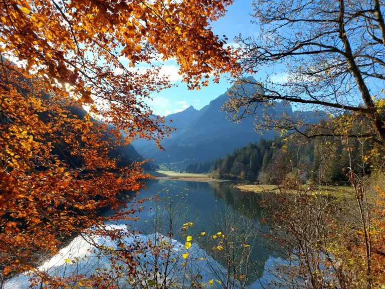 Leichte Wanderungen Schweiz - Titel