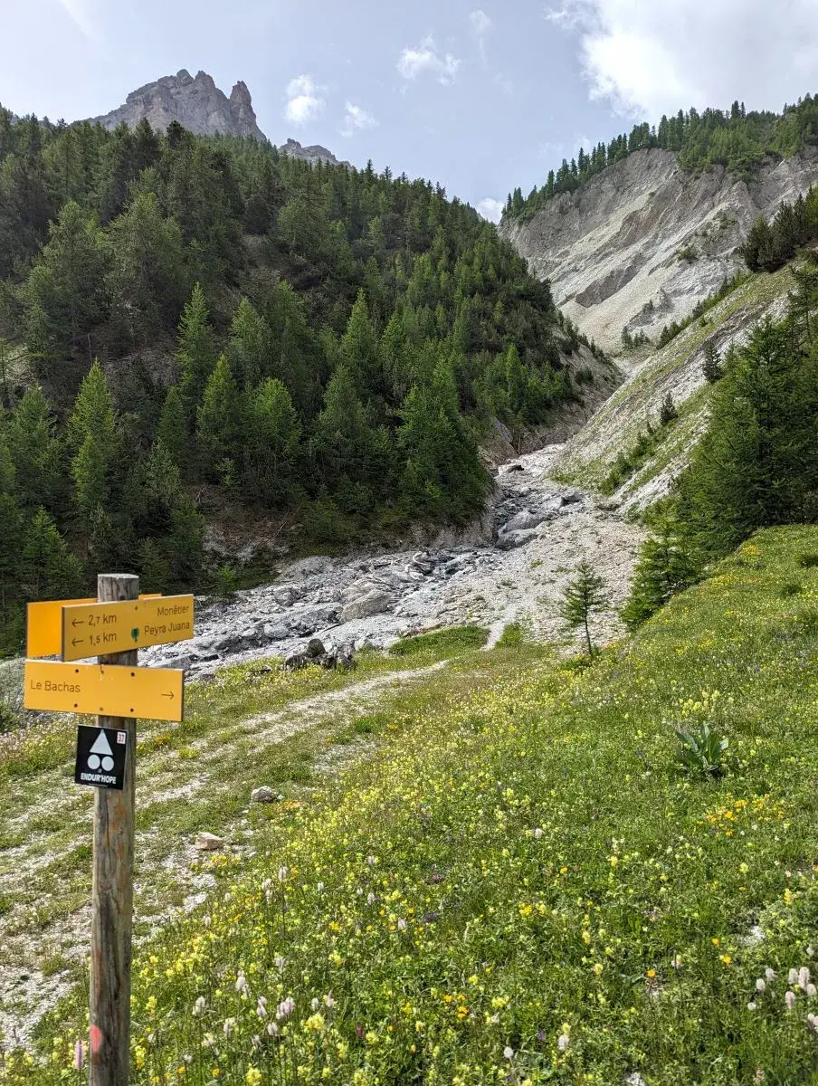 Grüne Wiesen und Wanderwegweiser auf dem Rückweg von Le Bachas