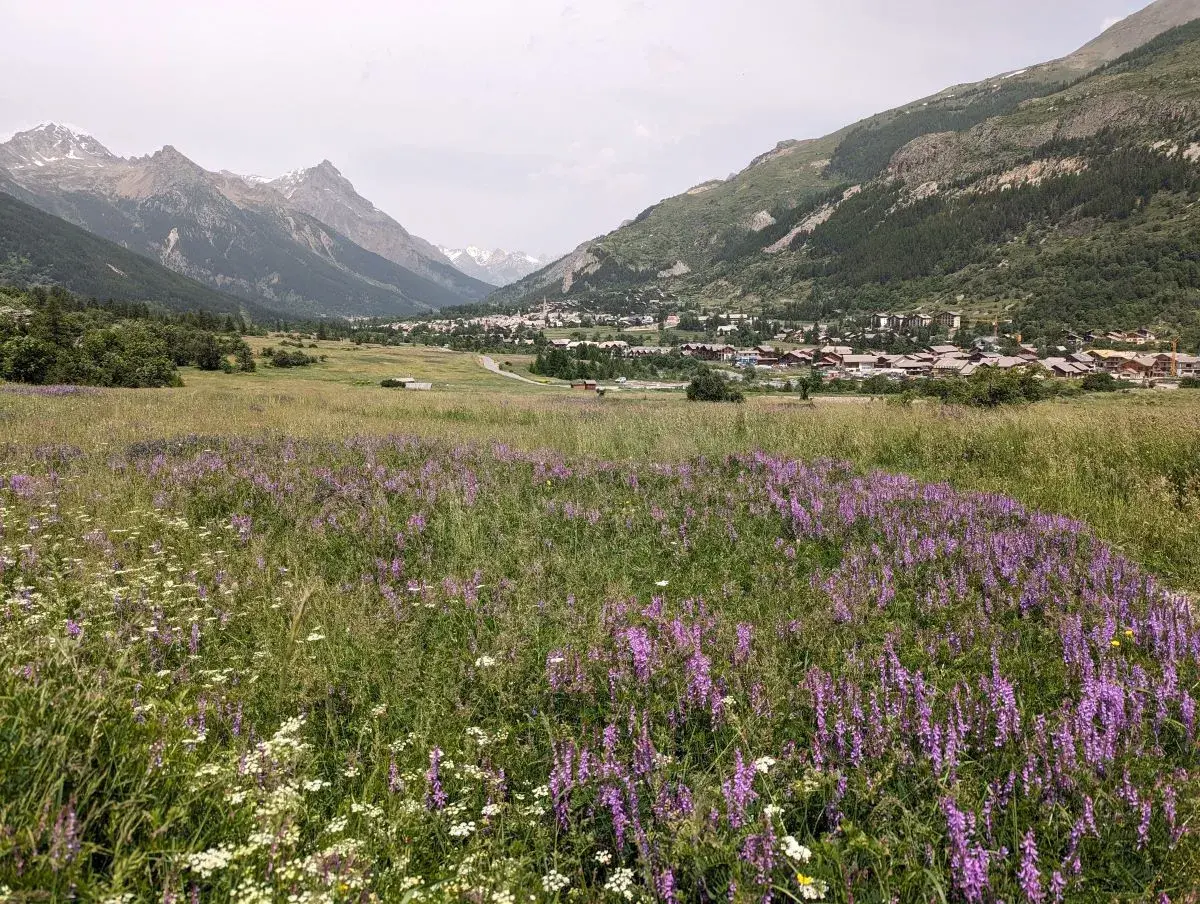 Blick auf Blumenwiesen und das Dorf Le Monetier-les-Bains in der Skidestination Serre Chevalier