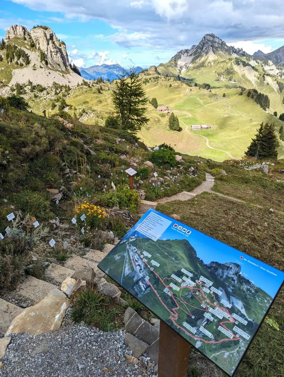 Blick auf den Alpengarten auf der Schynige Platte