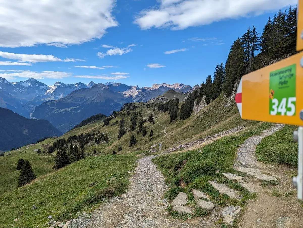Wanderwegweiser Panoramaweg Schynige Platte auf Almwiese und Bergpanorama