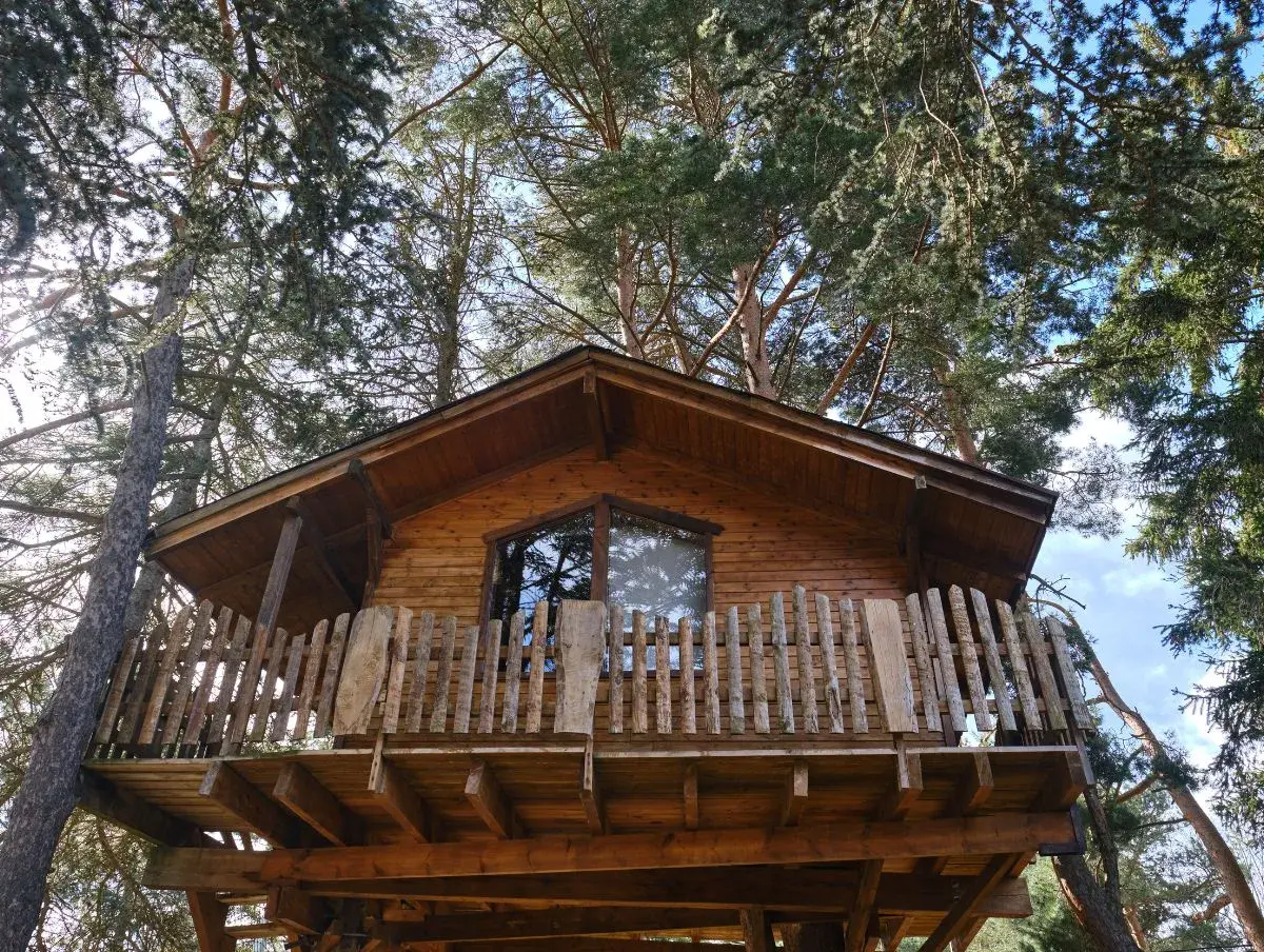 Baumhaus in den Baumwipfeln zweier grosser Bäume, ein tolles Geschenk für Naturliebhaber