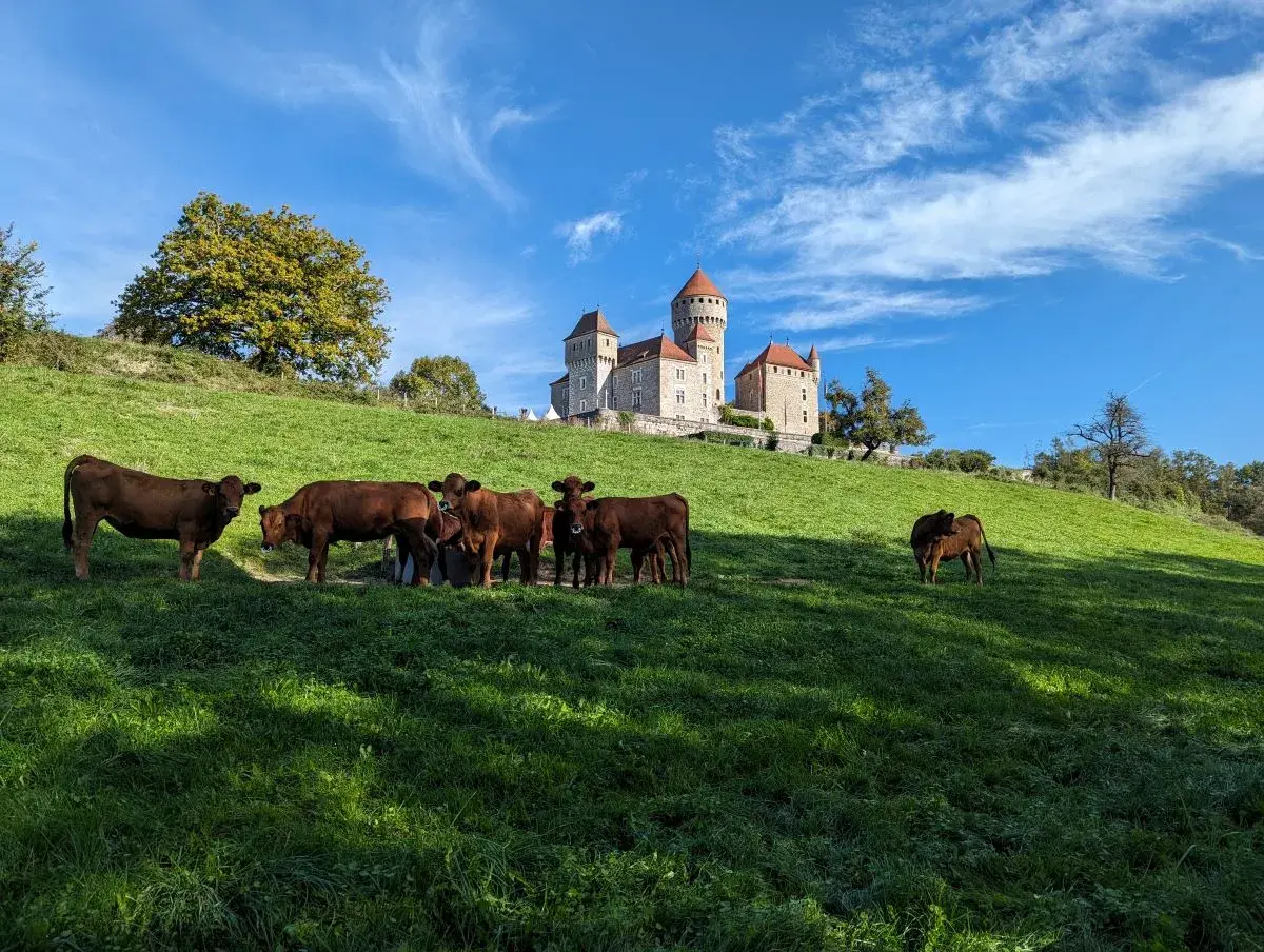 Chateau de Montrottier oberhalb der Gorges du Fier 