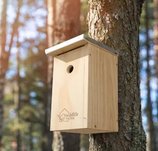Ein hölzernes Vogelhaus mit einem kleinen runden Eingangsloch, montiert an einem Baumstamm in einem Wald. Das Vogelhaus trägt ein Logo mit der Aufschrift "wildlife home" und einer stilisierten Vogelgrafik. Sonnenlicht filtert durch die Bäume im Hintergrund und schafft eine ruhige und natürliche Umgebung.