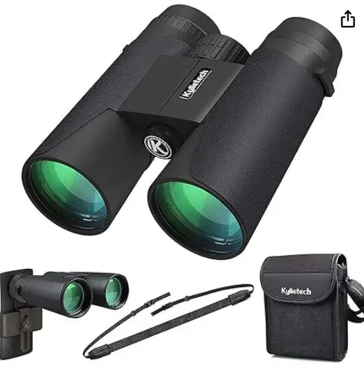 Fernglas und weiteres Equipment für die Vogelbeobachtung in der Natur