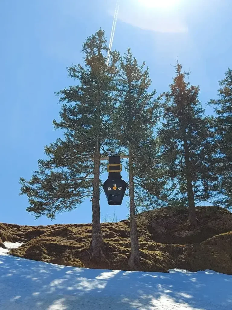 Kuhglocke am Halsegg auf unserer Rossberg Wanderung