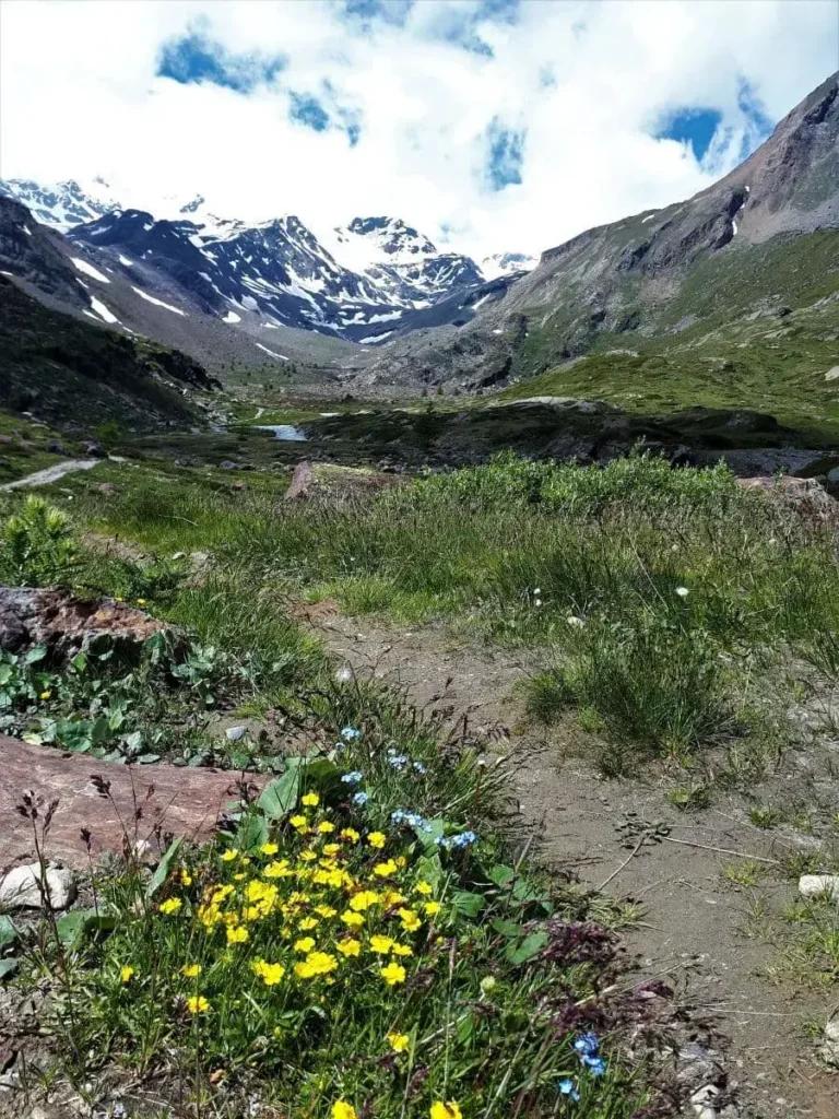 Wanderweg im wunderschönen Martelltal auf der Wanderung von der Enzianhütte zur Marteller Hütte