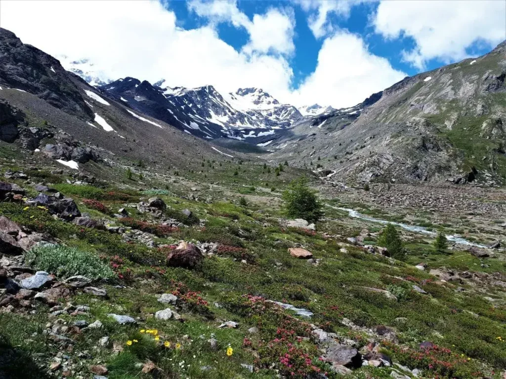 Wanderweg oberhalb eines kleinen Flusses im Martelltal, auf der Wanderung von der Enzianhütte zur Marteller Hütte