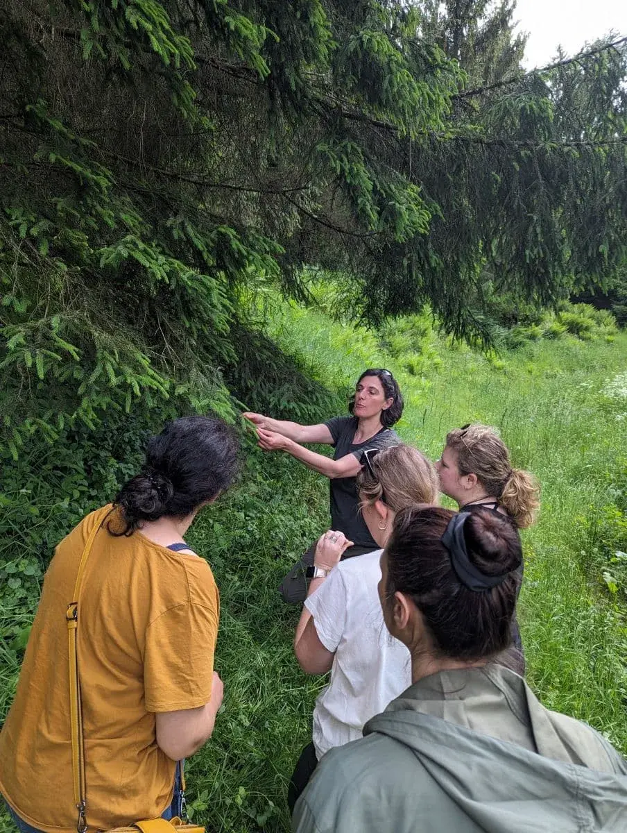 Eine Gruppe von Menschen versammelt sich um eine Frau, die während eines botanischen Spaziergangs in Munster im Elsass auf Details an einem Ast zeigt. Die Teilnehmer tragen lässige Kleidung und scheinen interessiert zuzuhören. Die üppige Vegetation des Waldes umgibt sie, was auf ein lehrreiches Naturerlebnis hinweist.