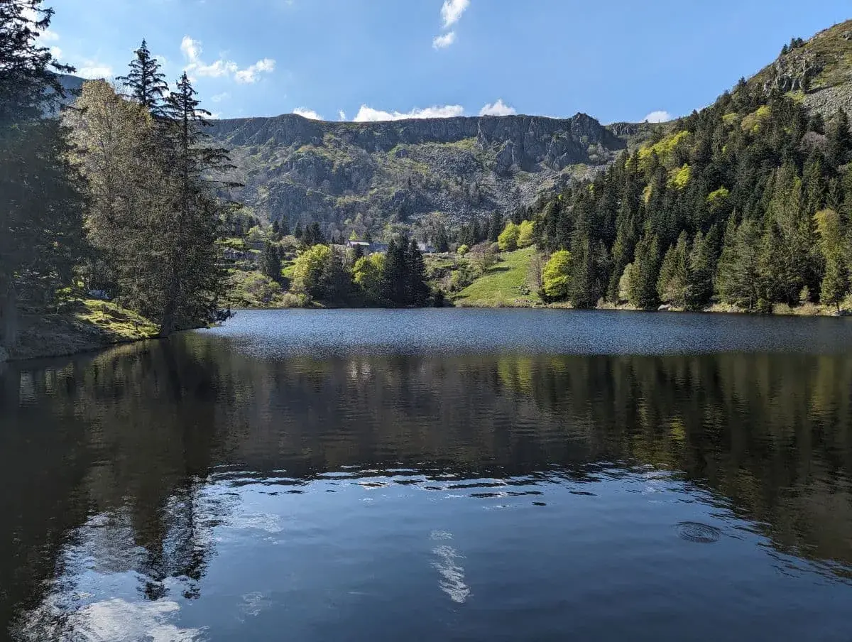 Der Lac du Forlet liegt malerisch im Münstertal, umgeben von dichten Wäldern und hohen Bergen. Das klare Wasser des Sees spiegelt die umgebende Landschaft wider, während im Hintergrund die felsigen Hügel und die saftig grünen Bäume unter einem strahlend blauen Himmel sichtbar sind.