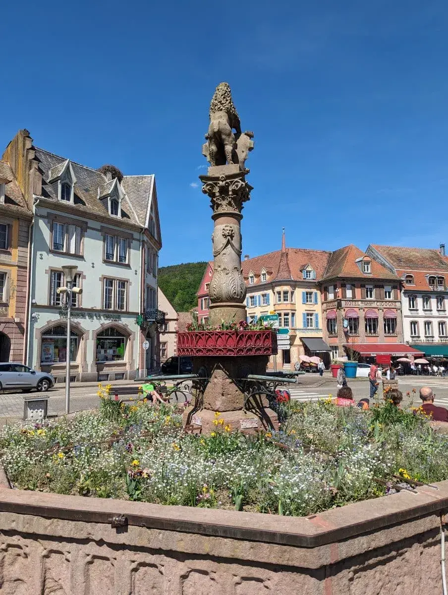 Der historische Löwenbrunnen auf dem Marktplatz in Münster, Elsass, geschmückt mit Blumen und umgeben von historischen Gebäuden. Der Brunnen besteht aus einem reich verzierten Steinsockel mit einer Löwenfigur an der Spitze. Im Hintergrund sind bunt bemalte Fachwerkhäuser und ein klares, blaues Himmel zu sehen.