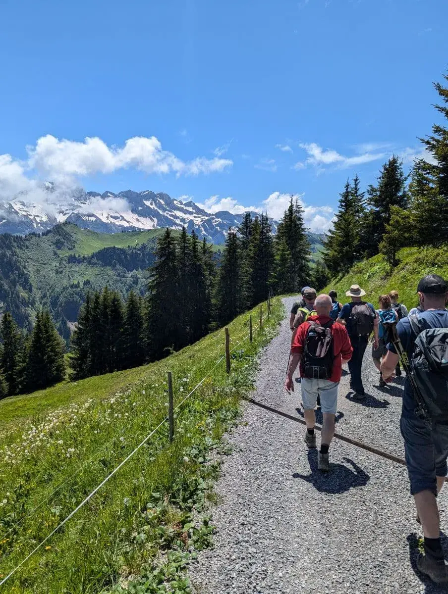 Wandergruppe mit 10 Wanderern beim Wandern in Champery auf einem breiten Forstweg mit wunderschönem Ausblick auf die schneebedeckten Gipfel der Alpen in einiger Entfernung.