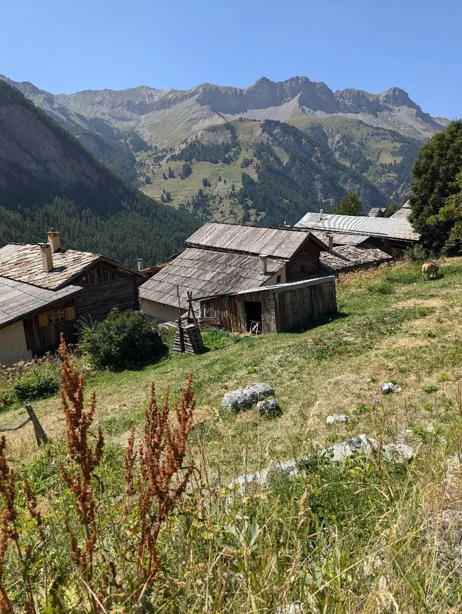 Ein idyllisches Bild von traditionellen Almhütten in Saint Veran, eingebettet in einer grünen Berglandschaft. Die Häuser haben Holzdächer und sind von Wiesen und Bäumen umgeben. Im Hintergrund erheben sich majestätische Berge unter einem klaren, blauen Himmel.